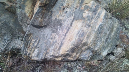 Гигантские зелёные валуны для ландшафтного дизайна весом более 5 тонн купить в Сыктывкаре