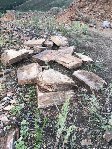 Плитняк кора дерева 50-100мм для пошаговых дорожек купить в Сыктывкаре